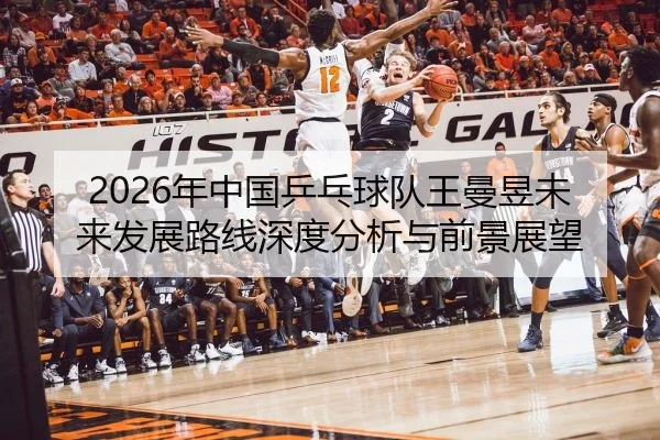 2026年中国乒乓球队王曼昱未来发展路线深度分析与前景展望